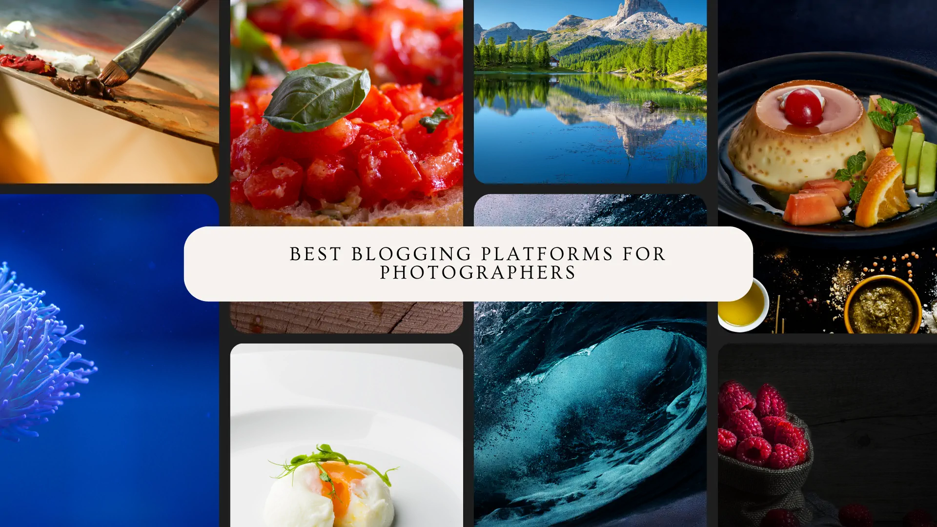 Best photo blog platforms