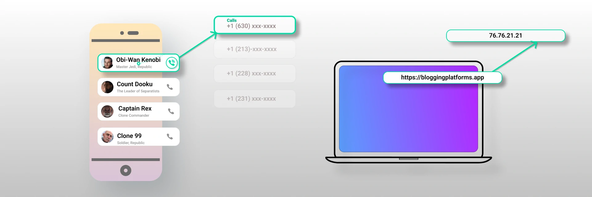 Domain and IP addresses