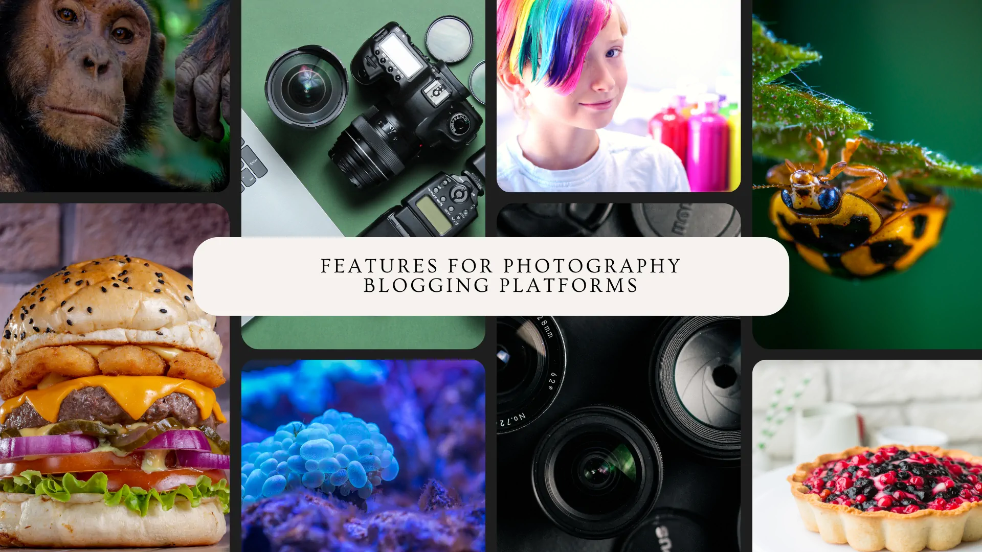 Photo blog platform features