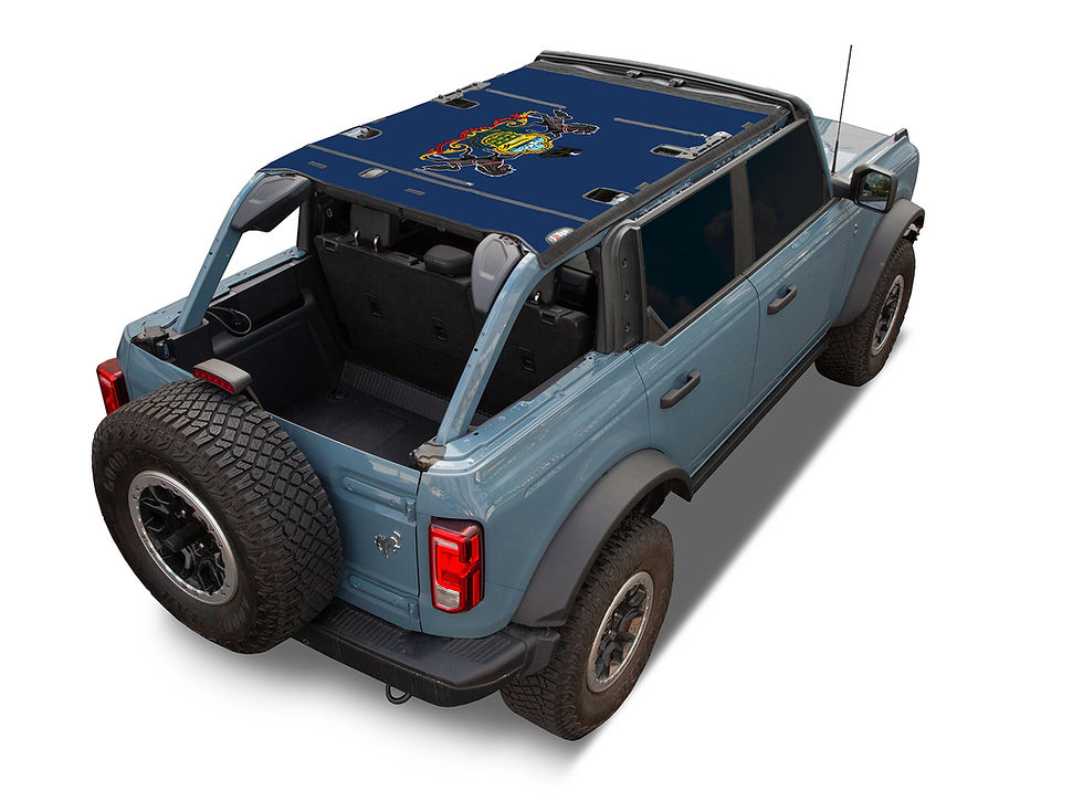 Thumbnail: Bronco Bimini Top mesh sunshade JTopsUSA State Flag