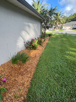 Pulled out overgrown bushes and installed new, low maintenance plantings, drainage, and fresh mulch