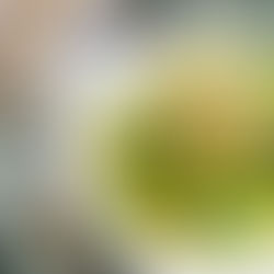 Fusillis au pesto de pistache et tartare de gambas