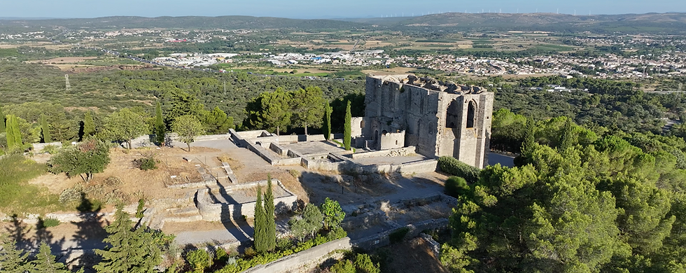 drone professionnel inspection monument historique
