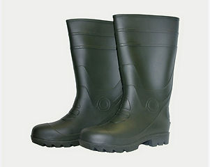 gumboots_edited.jpg