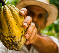 cacaous_handcaco.jpg