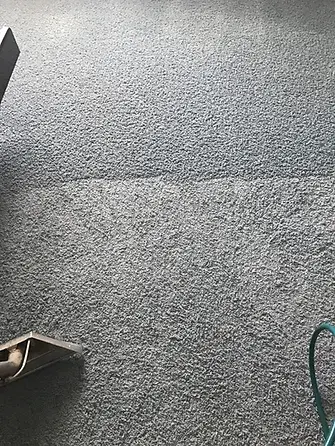 before & after steam cleaning