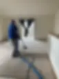 Truck-mounted carpet cleaning in a Twin Cities Minnesota home