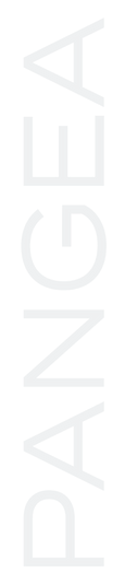 Pangea Group Logo