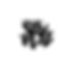 Untitled design (32).png
