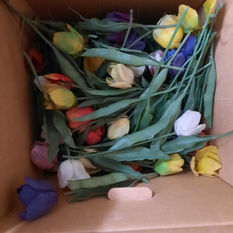 Tulips (Plastic).jpg
