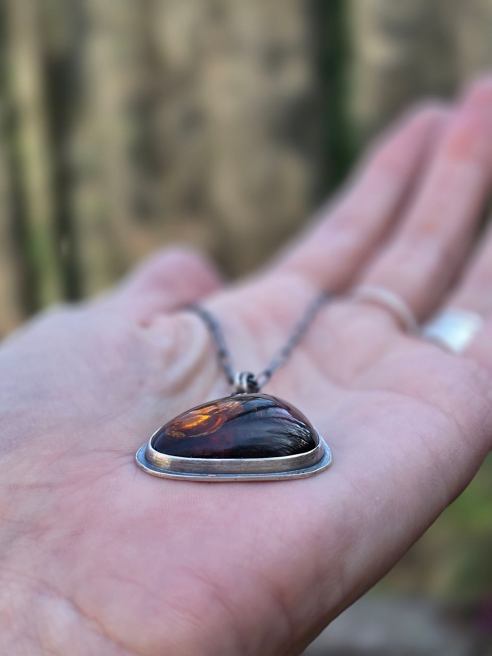 Thumbnail: Wing in amber