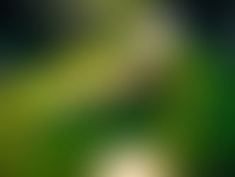 The Budget 2025: Boosting Entrepreneurship and Innovation Through MSME Reforms and Startup Support