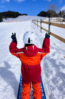 Skiprojekt 2026