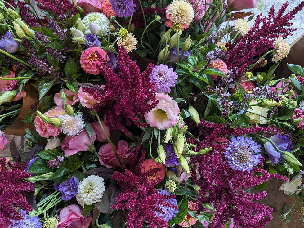 Full Season Subscription - Tuesday