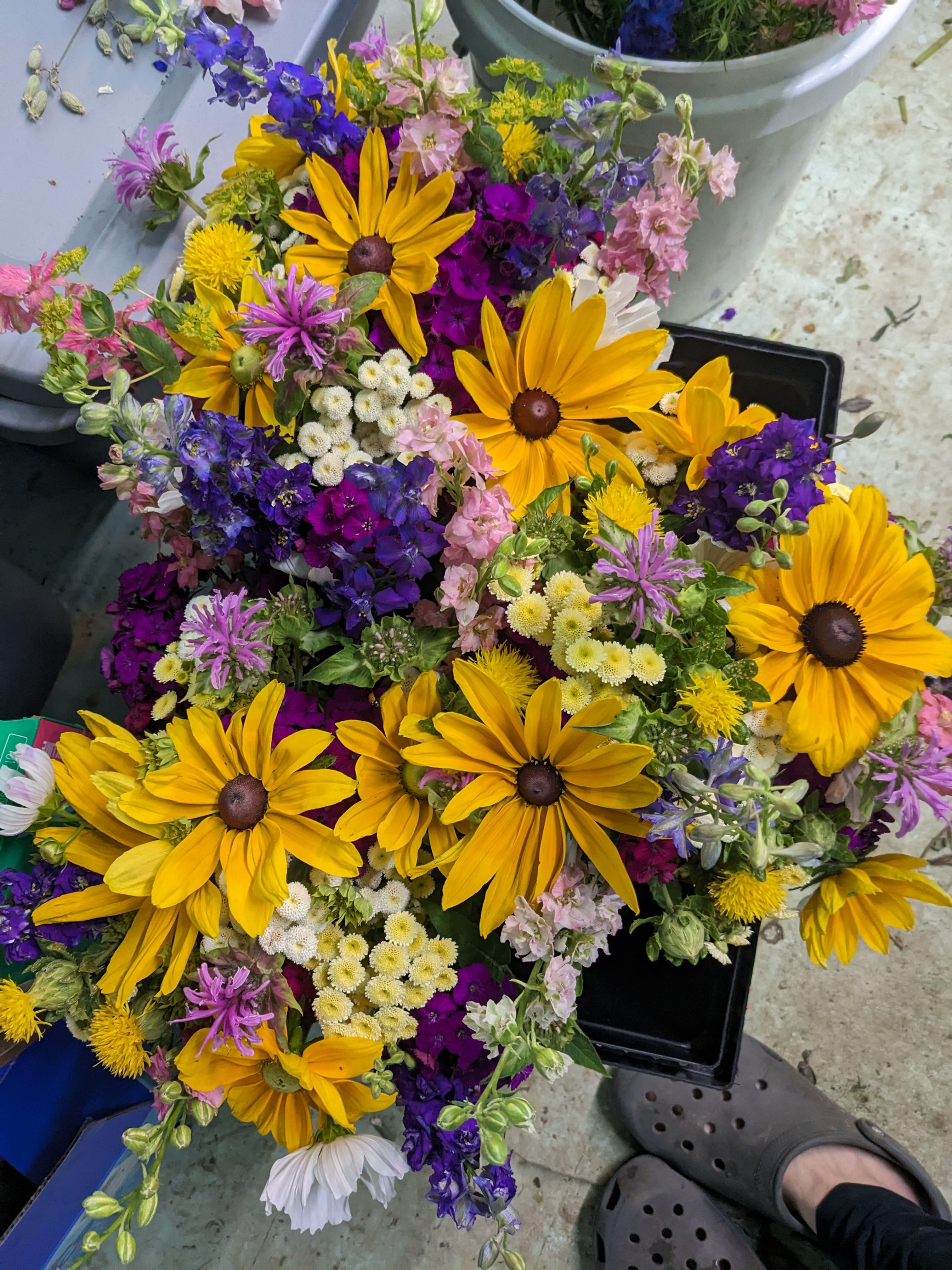 Early Season Subscription - Friday