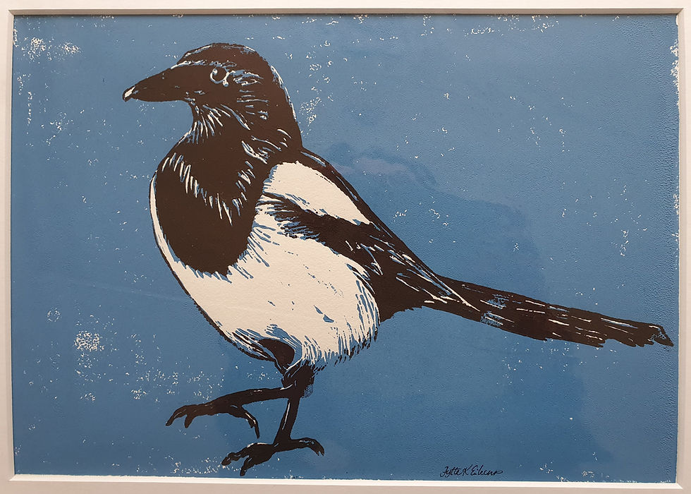Thumbnail: Magpie - several varieties