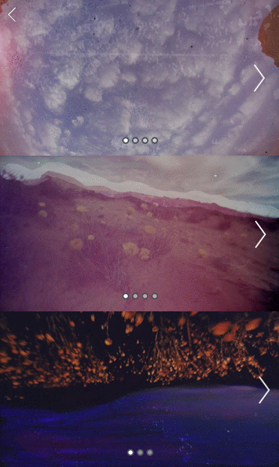 Kearvina Sohun Art director Proenza Schouler branding Animation