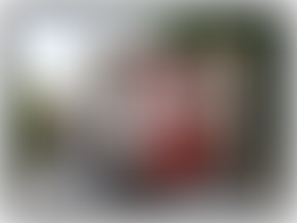 redundant internet for businesses