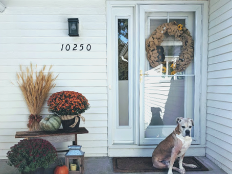 Happy Fall!