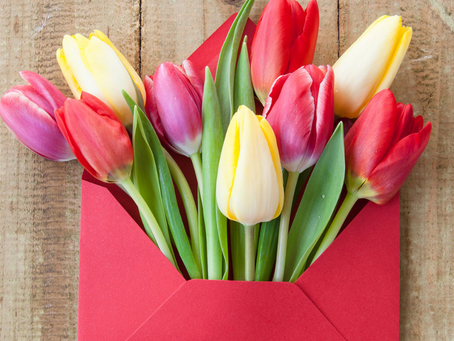 Spring Refresh!