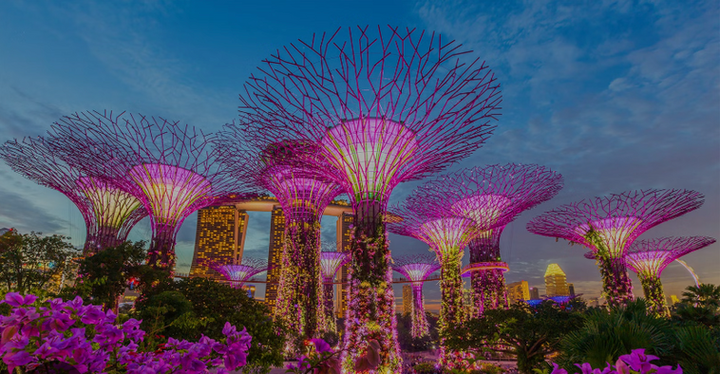 Screenshot 2025-01-19 at 9.04.54 PM.png