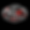IMG_4614.png
