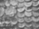 pexels-sankyrao90-716107_edited.jpg