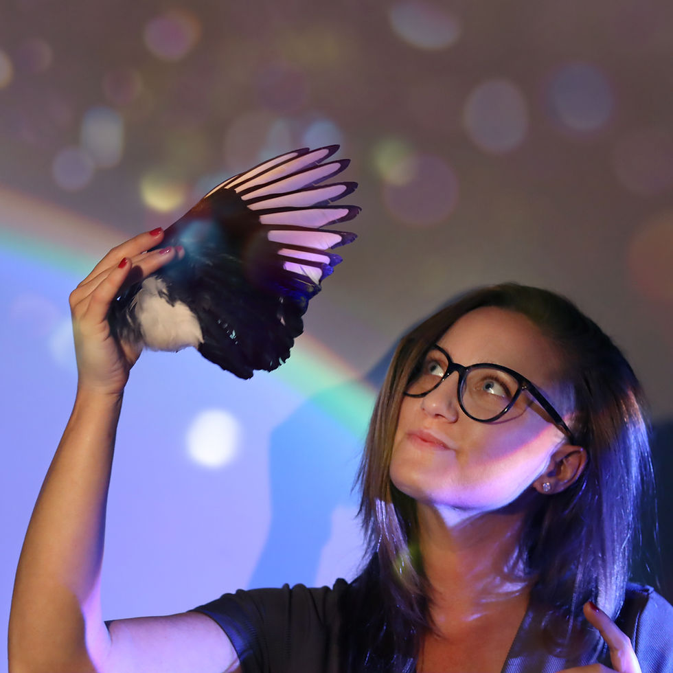 IMG_2174 edit 2 (1).jpg