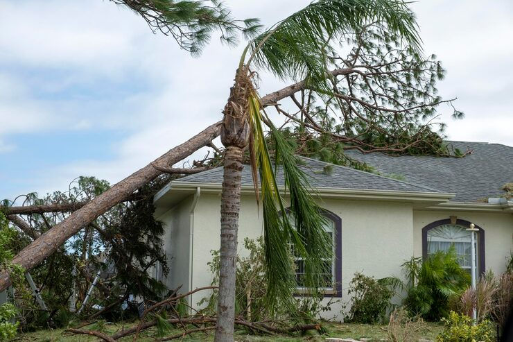 damage-florida-house-roof-from-uprooted-tree-after-hurricane-insurance-claim-destroyed-hom