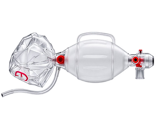 Untitled design (62).png