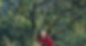 Shape of Momo Still 4 - Tribeny Rai_edited.jpg