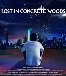 Lost in Concrete Woods