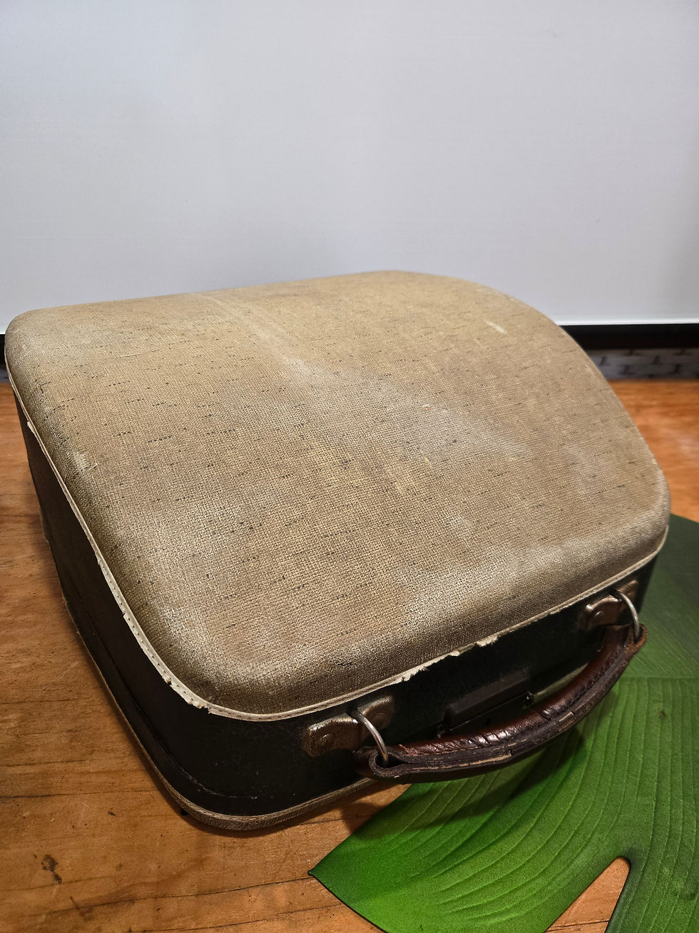 Thumbnail: Vintage Remington quiet Riter typewriter 1950s metal portal case