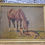 Thumbnail: Watercolour Print By C.W.Anderson The New Arrival Framed Equestrian