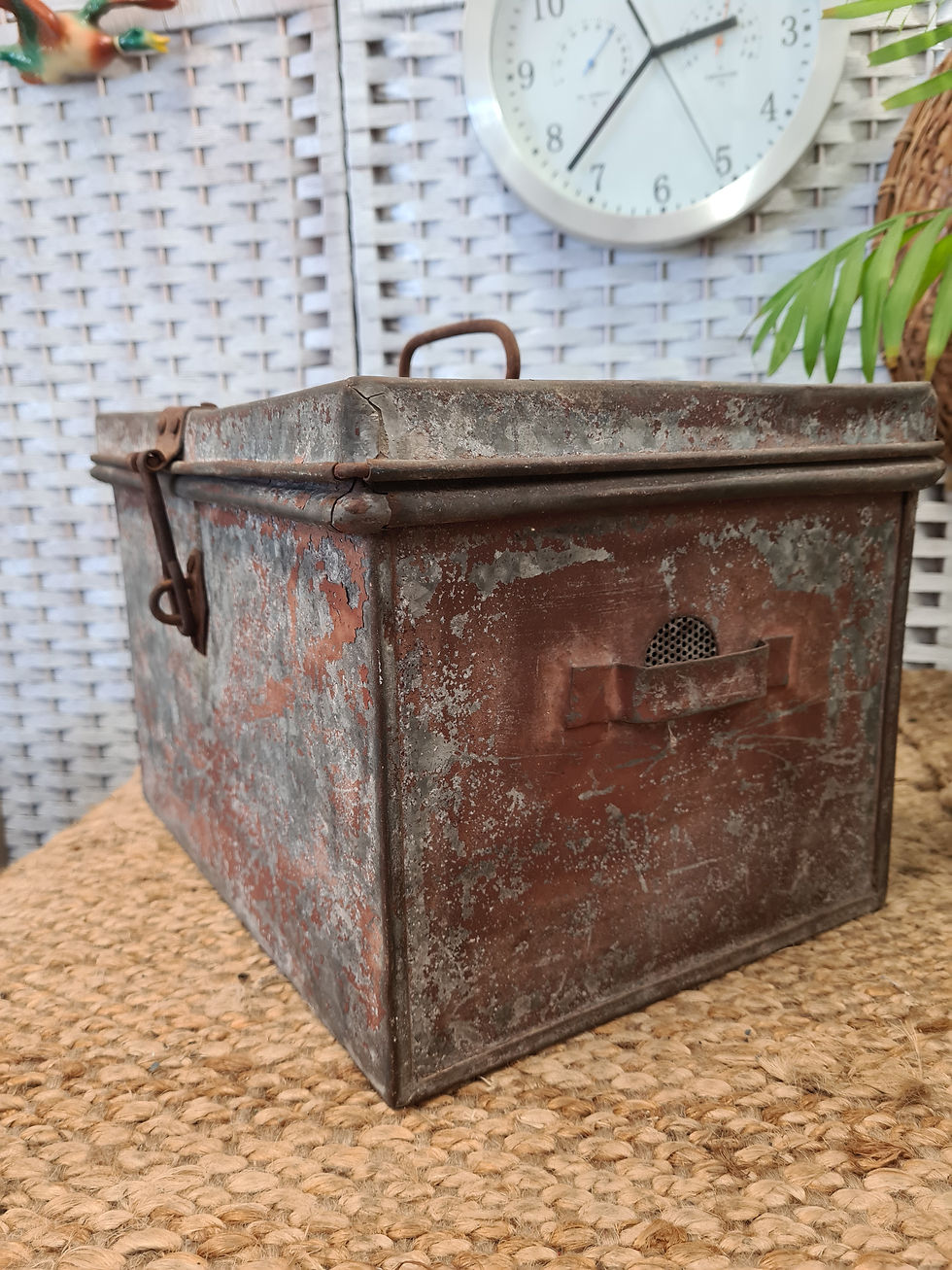 Thumbnail: Vintage Galvanized Metal chest Box small size mesh holes 