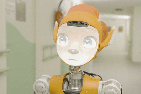 Mirokai humanoid robots for children