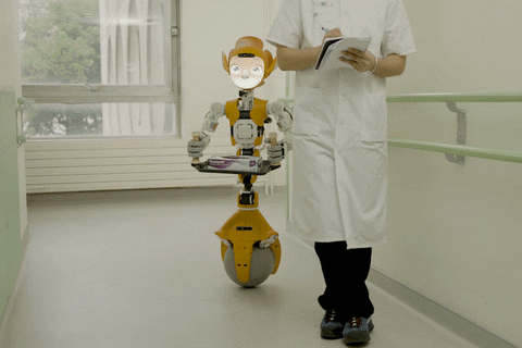 Mirokai humanoid robots for children