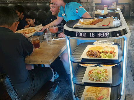 Service robots: Not gadgets, but real work colleagues