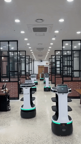 Servi Plus - Multi-Robot In Action (13 robots).gif