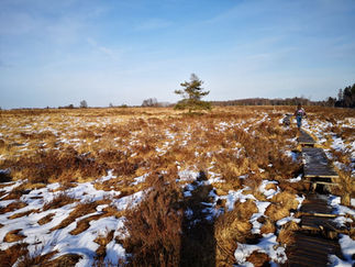 Day Hike: Through the Bois des Minières and the Fagne de Malchamps (18,3 km)