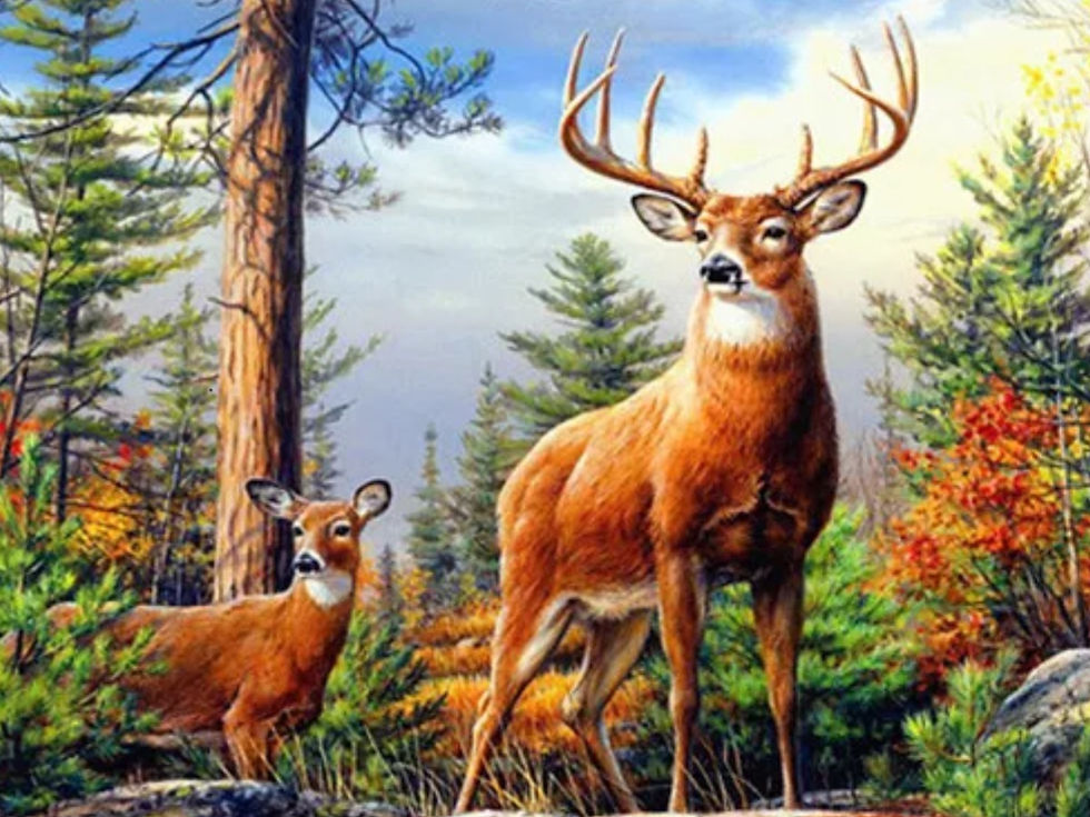 Thumbnail: Deer paintings AB