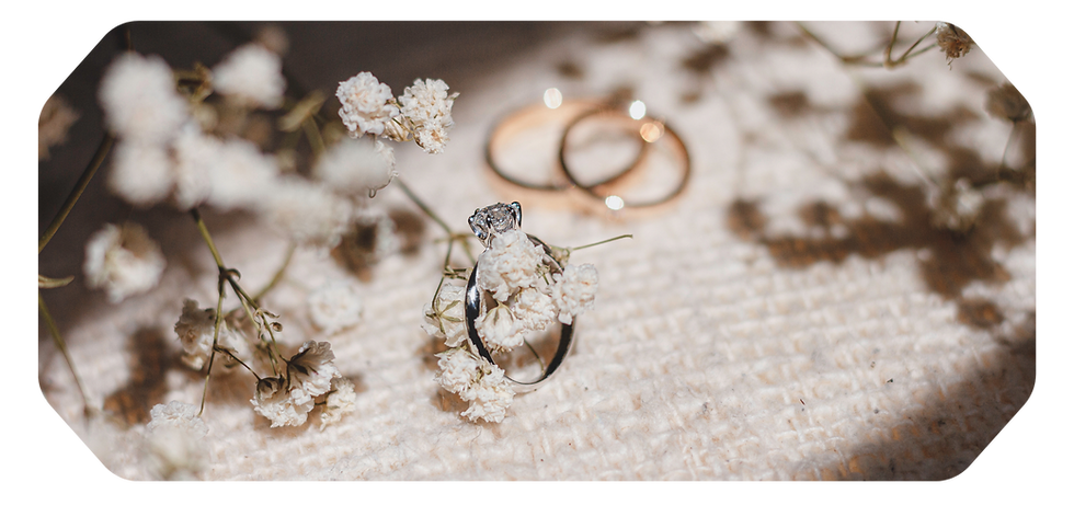 Untitled (Website) (1).png