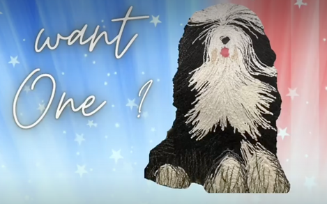 Bearded Collie example