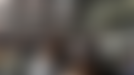 ELEŞTİREL HAYVAN ÇALIŞMALARI: KAYNAK, YÖNTEM VE YAKLAŞIMLAR