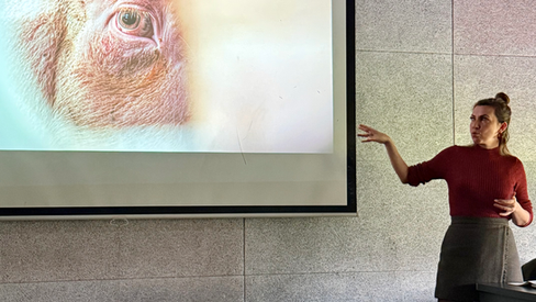 Bilişsel Etoloji ve Hayvan Foto Muhabirliği Bağlamında Hayvanlara Yeniden Bakmak
