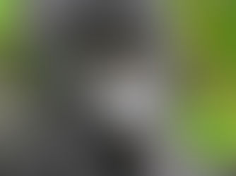 How do I get to Bwindi National Park from Entebbe or Kampala by road