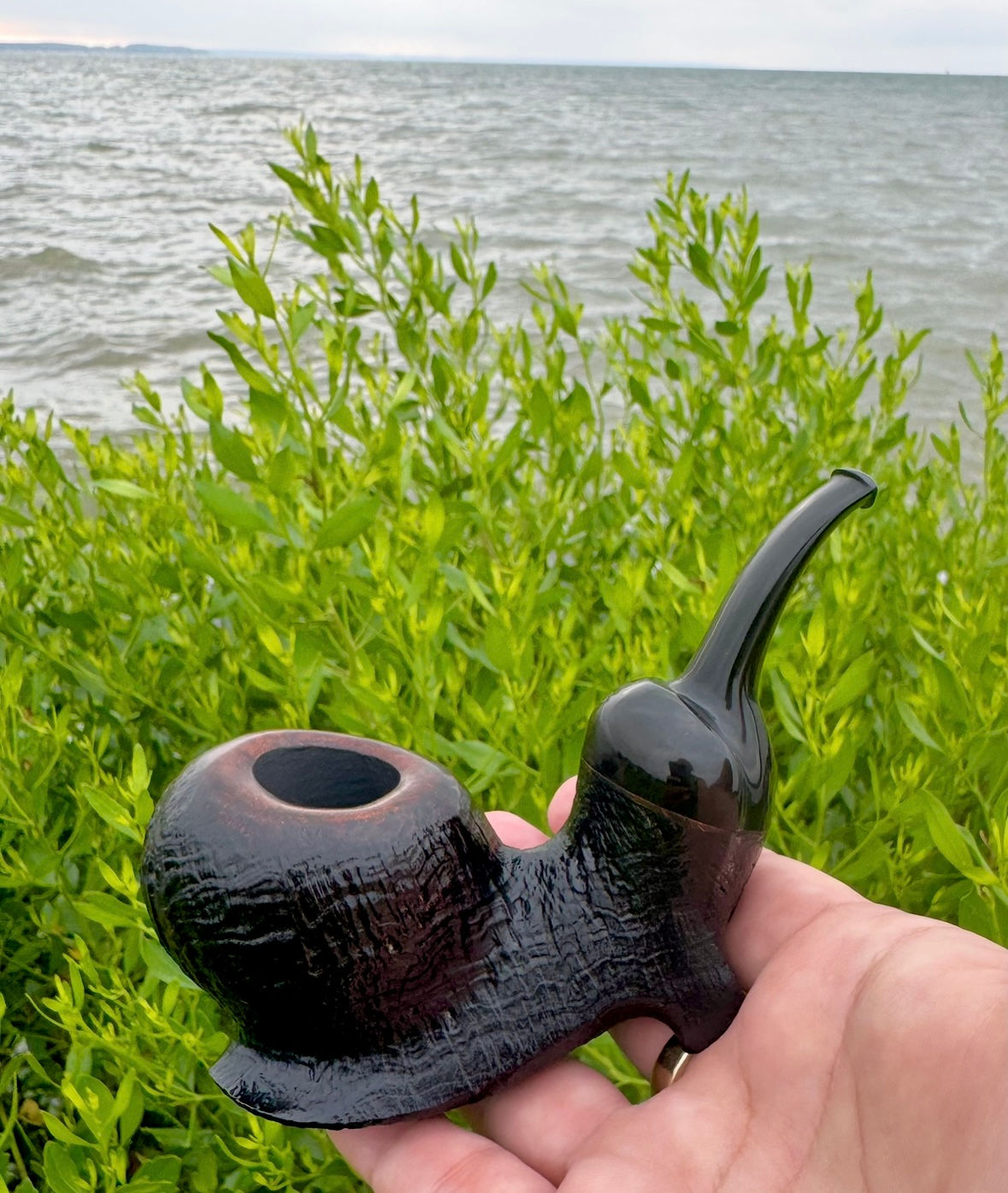 Black Cat “ Stretching Cat” 