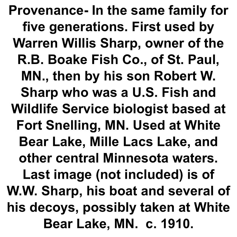 Thumbnail: 8 Decoys from the rig of Warren Willis Sharp owner of Boake Fish Co. MN C1900