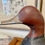 Thumbnail: SOLD Old Robert F. McGaw Redhead decoy
