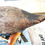 Thumbnail: SOLD - Robert  F.  McGaw Canvasback, RARE Early Head Style